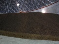 Iron ore stored under dome at Hyundai Steel
