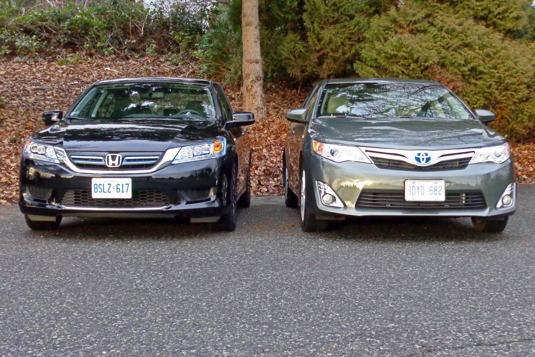 Тойота камри сравнения. Honda Accord vs Toyota Camry. Toyota Camry Hybrid 2013. Toyota Camry 50 vs 50. Toyota Camry xv55 Hybrid.